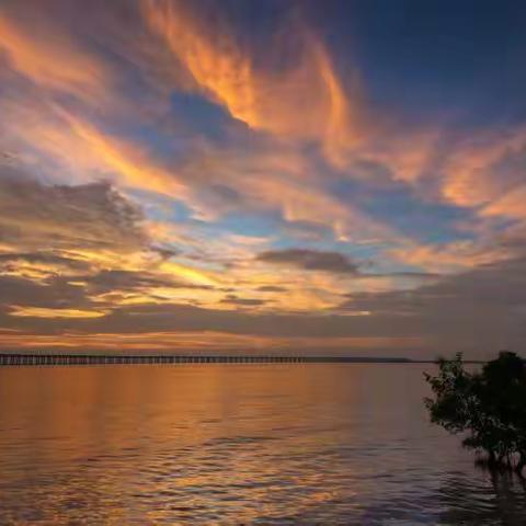 西湾红树湿地公园