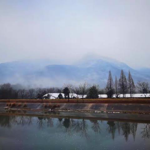 白露山景区2月份第四周周报