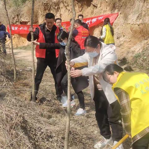 不负韶光添新绿！太峪镇开展义务植树活动