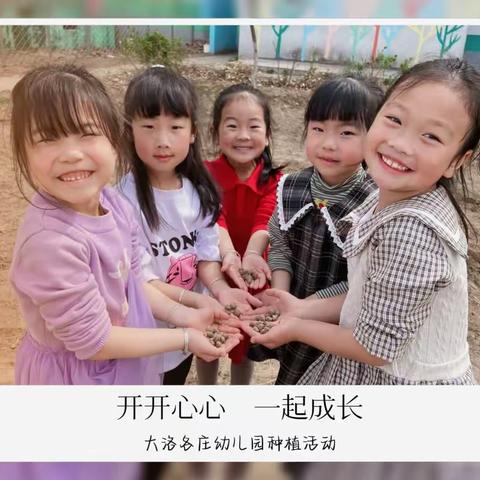 “种”在春天   “植”得期待——大团柳中心校大洛各庄幼儿园种植篇