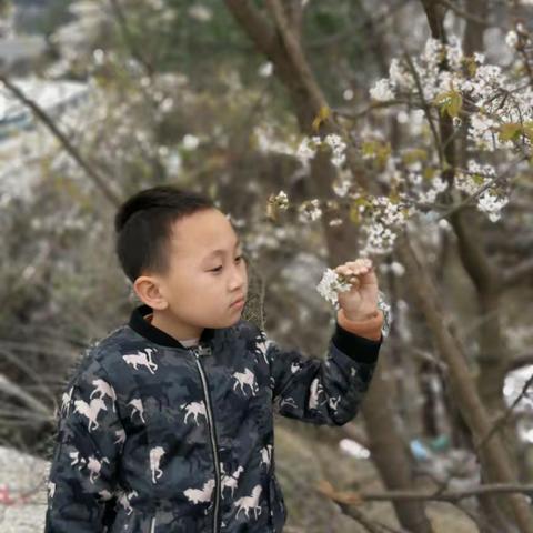 我和春天有个约会