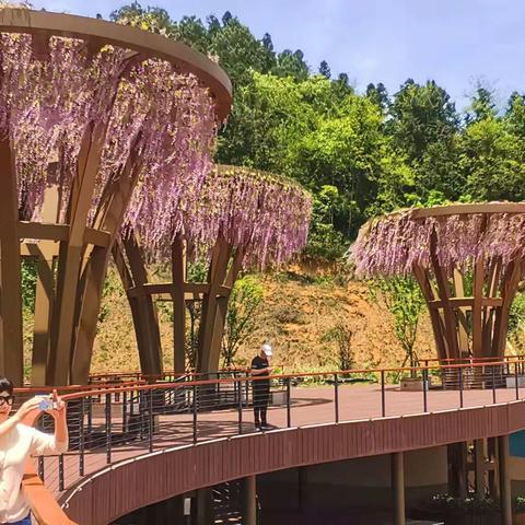 贵州省黔南州都匀市绿博会