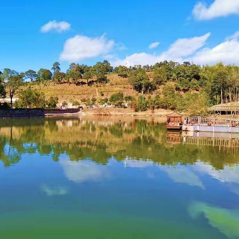 游太姥    品白茶   听茶事