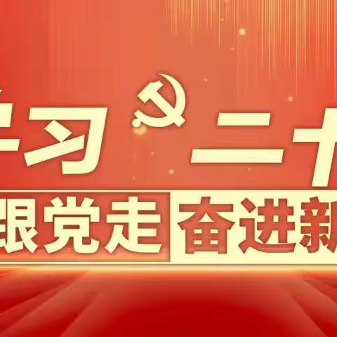 学习二十大 永远跟党走 奋进新征程-乌海海南支行团支部开展线上专题组织生活