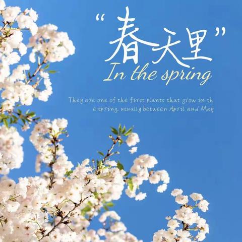 【朱珍慧】宁陵县清华园学校七年级英语公开课进行中