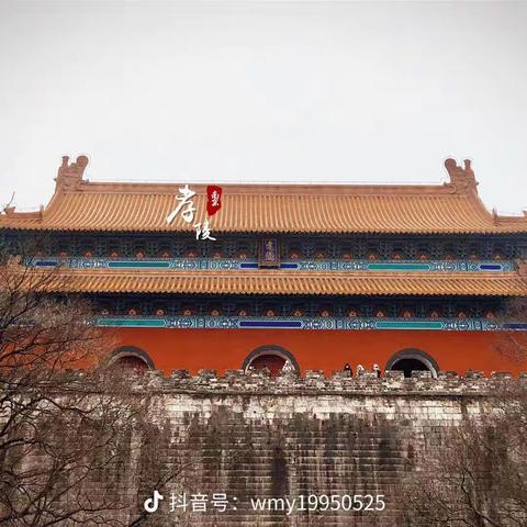 小桔灯5月13日研学之旅——皇家第一陵明孝陵