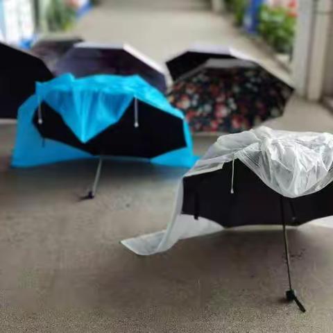 暴雨停课