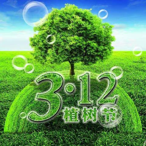 春风十里，正“植”有你   3.12日四(3)中队~~拥抱春天，我与小树共成长主题活动