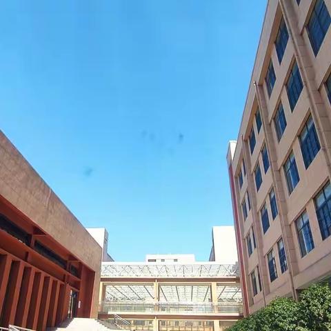 亚兴上坡网红涂鸦墙的月洁。