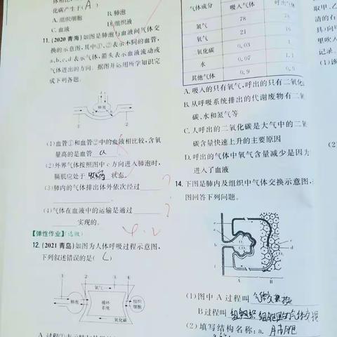 【勤学组】周总结