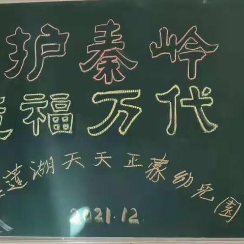 保护秦岭，造福后代   天天正蒙幼儿园携北稍门西社区联合开展保护大秦岭 我们在行动主题活动