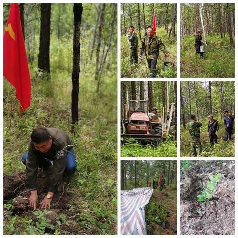 “植树造林我先行，万场党员在行动”主题党日活动进行时