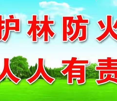 蹄疾步稳行致远，勇毅笃行谱新篇——万年青林场开展防火岗位大练兵活动