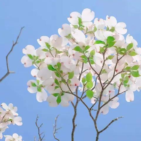 春光不负，来日可期