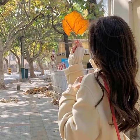 花自向阳开，人终往前走