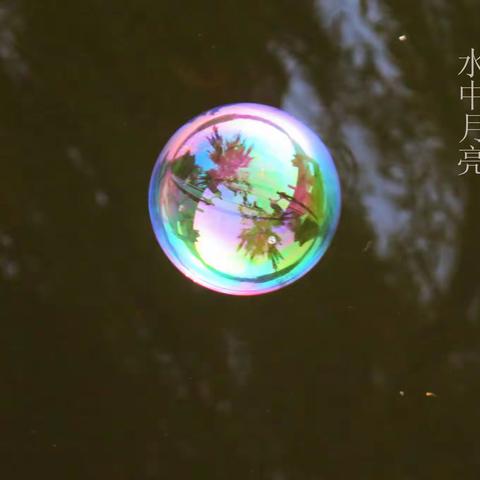 神秘离奇的水波图像