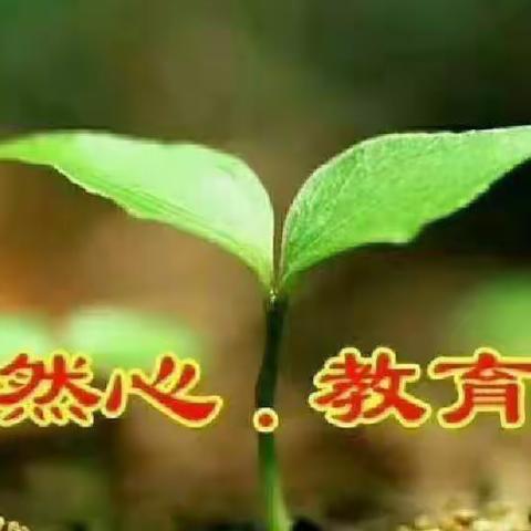 淘乐佳 小托班生活主题课程活动《吃饭了》