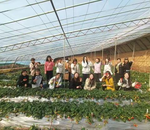 陕州区水利局开展“魅力三八节 美丽展风采”踏青摘草莓活动