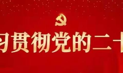 奋进新征程•保险有担当|新华保险克州支公司认真学习贯彻党的二十大精神