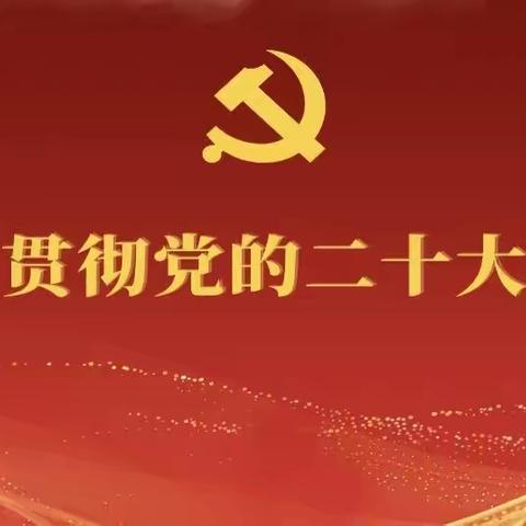 奋进新征程•保险有担当|新华保险克州支公司学习贯彻党的二十大精神