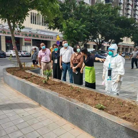 区政府副区长胡秀娟督查大东海社区创文巩卫工作