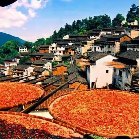 渝快大巴    金秋醉人之旅