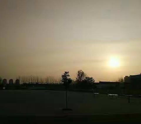 迎着朝阳 我走在学习的路上