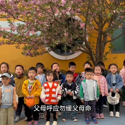 我的一周 ——新时代幼儿园