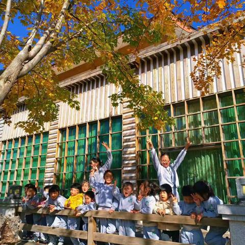 古城区跨世纪幼儿园彩虹班🌈户外探索《捡树叶》🍂