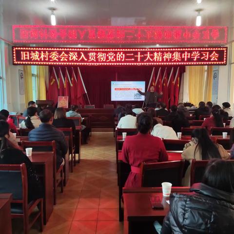 旧城村委会开展深入贯彻学习党的二十大精神集中学习会