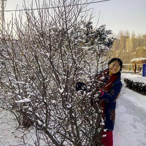 赏皂角园的雪景