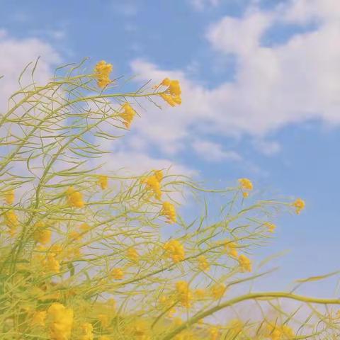 如歌岁月，“疫”路生花