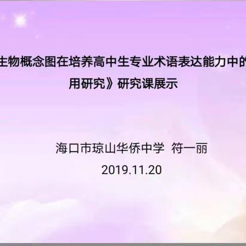 小课题研究课展示9