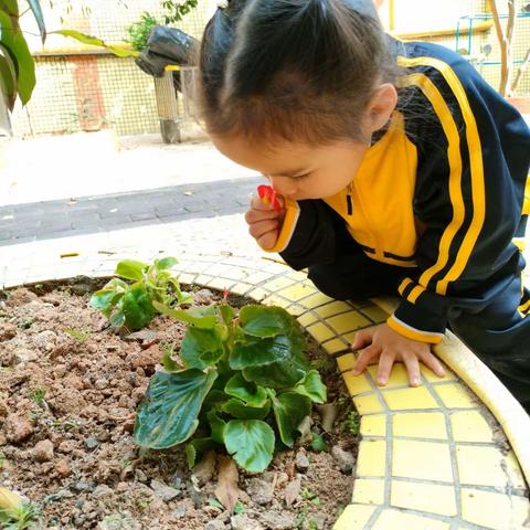 朝阳幼儿园小二班 李希潼2月份成长记录