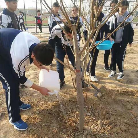 保护环境，青春在行动–临西实验中学举行植树绿树活动