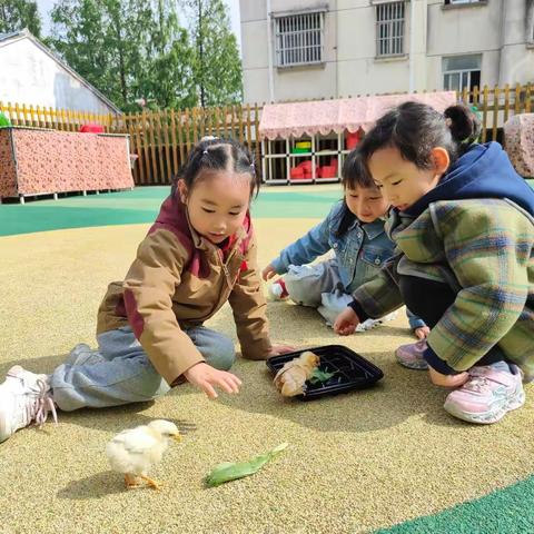 第六期小话筒栏目 ——午餐小主播