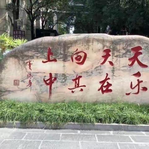 我的收获