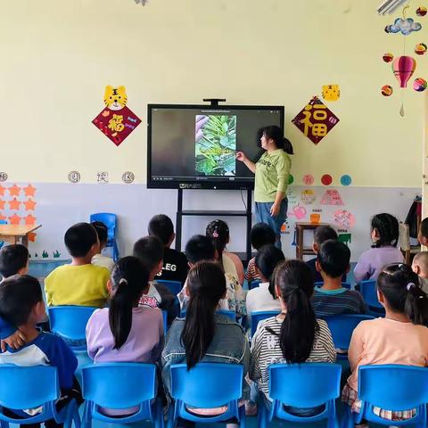 “小小种植园，一年四季不空闲”—寒亭街道叶家庄子社区幼儿园太阳🌞一班周记