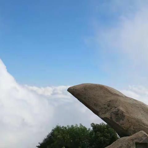 乙亥夏月泰山游