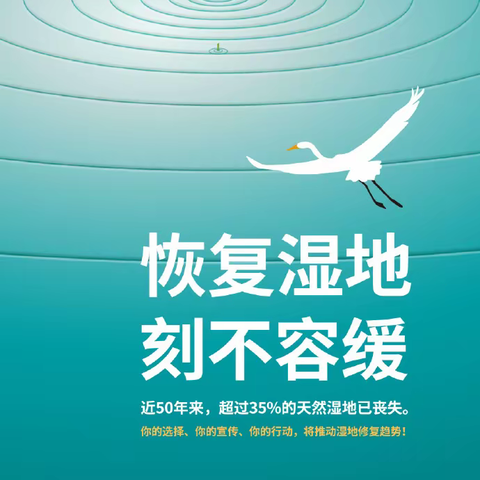 湿地恢复，你我参与——琼海市第一小学“保护湿地”宣传教育致全体师生的一封信