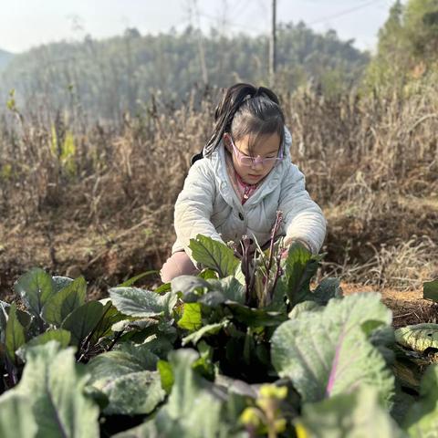 宏“兔”大展，多彩的寒假（凤凰小学2年级11班盛铭柳多彩的寒假生活）