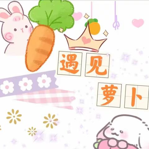 嗨！胡萝卜🥕