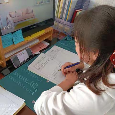 学校数学老师同频互动培训