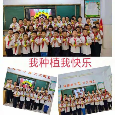 临河区八一学校开展劳动教育系列活动