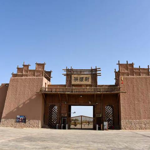 南疆5-巴楚胡杨林