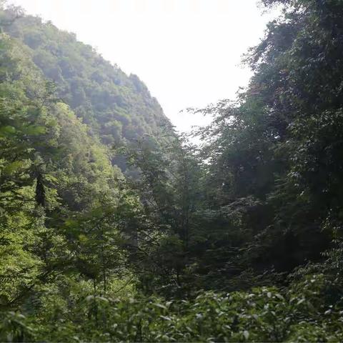 老沈家中坝峡谷亲情一日游