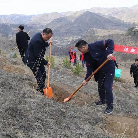 吴起县林业局党委组织开展春季义务植树活动