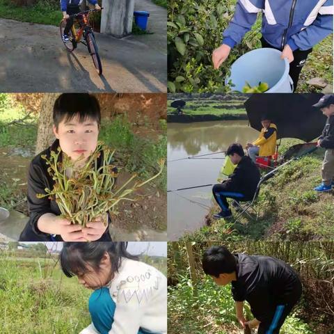 育才小学新教育每月一事】四月主题“自然，让我们去踏青”——六年级活动总结