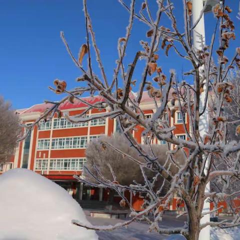 冬雪纷飞满校园，师生扫雪暖人心