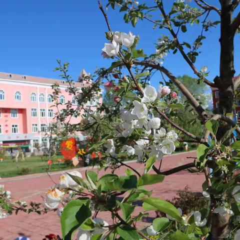 温泉县城镇小学第十三周升国旗仪式